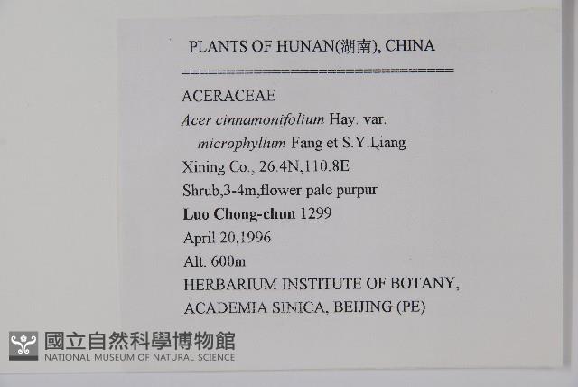 登錄號:S047450藏品圖，第2張