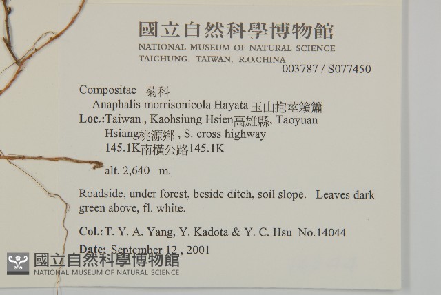 玉山抱莖籟簫藏品圖，第2張