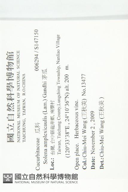 茅瓜藏品圖，第2張