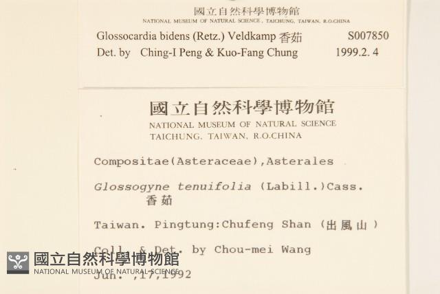 香茹藏品圖，第2張