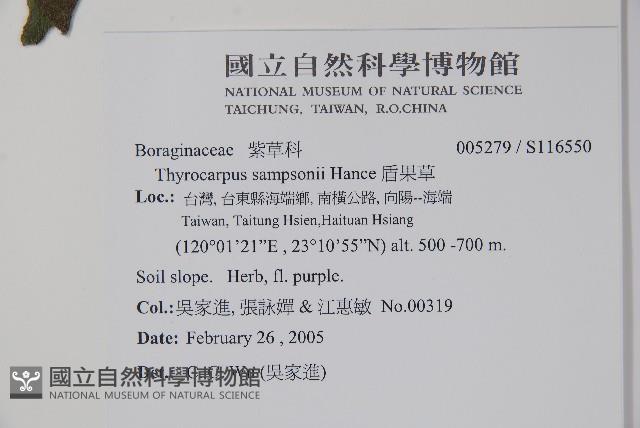 盾果草藏品圖，第2張