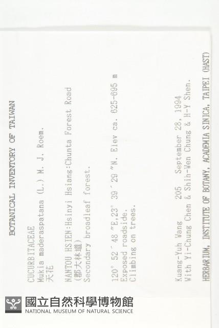 天花藏品圖，第2張