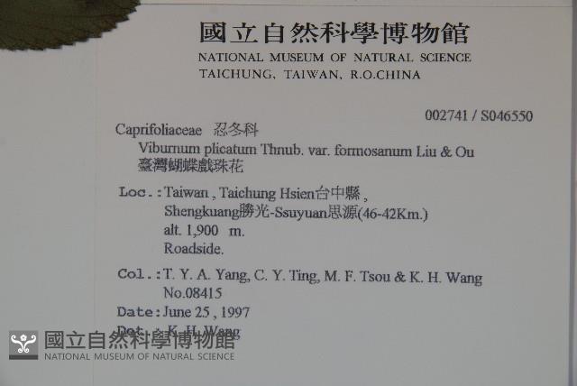 臺灣蝴蝶戲珠花、臺灣蝴蝶花藏品圖，第2張