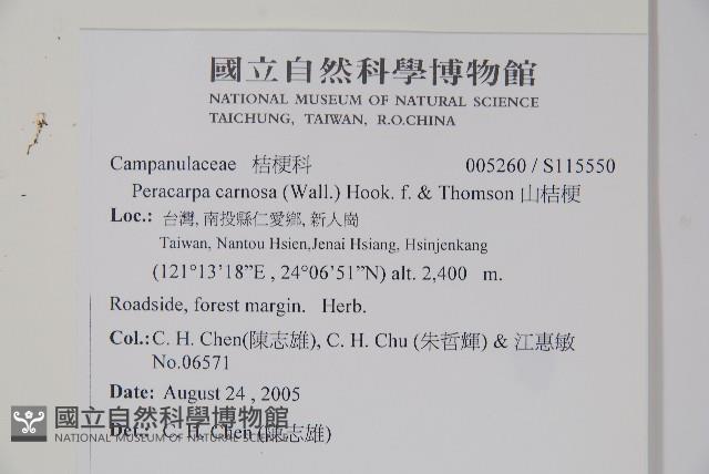 山桔梗藏品圖，第2張