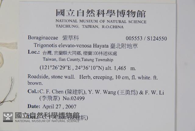 臺北附地草藏品圖，第2張