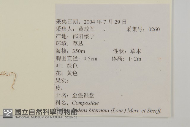 鬼針舅藏品圖，第2張
