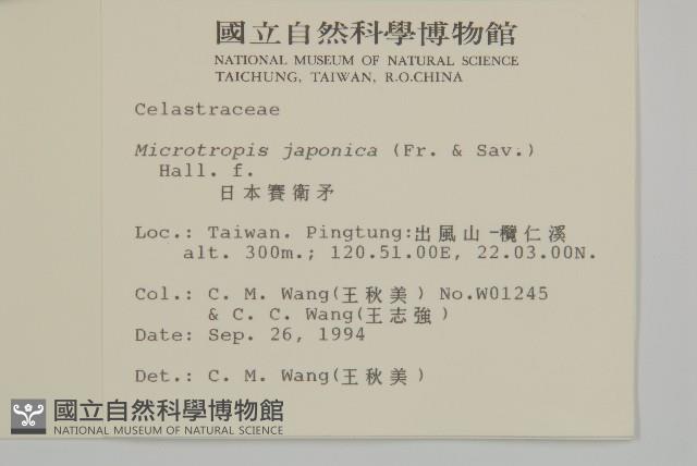 日本賽衛矛、日本假衛矛藏品圖，第2張