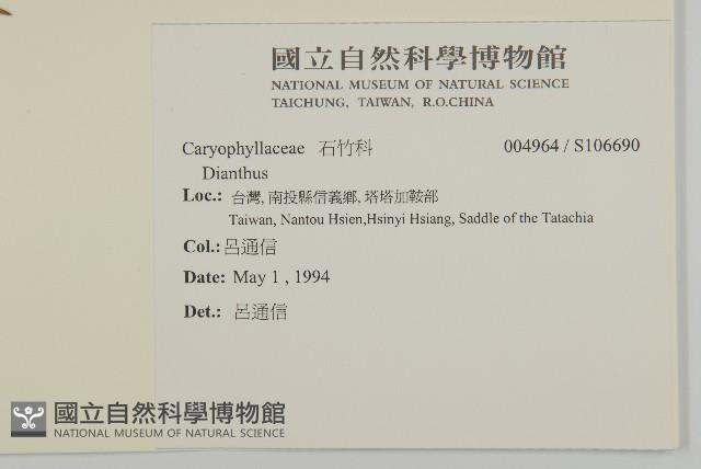 登錄號:S106690藏品圖，第2張