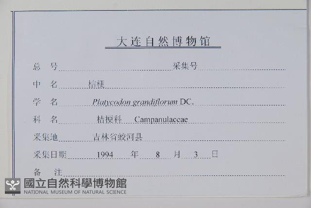 桔梗藏品圖，第2張