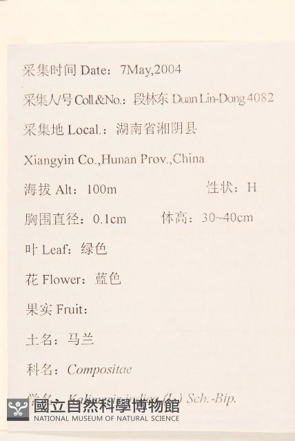 雞兒腸藏品圖，第2張