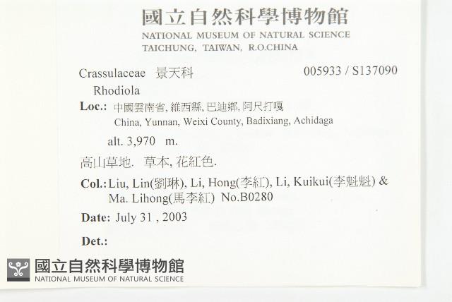 登錄號:S137090藏品圖，第2張