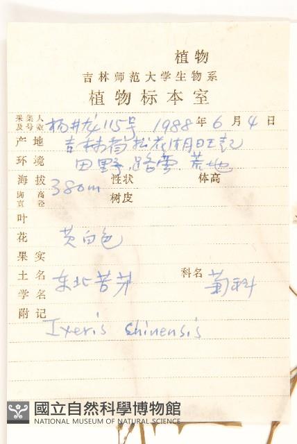 兔仔菜藏品圖，第2張