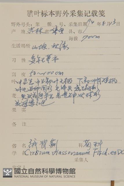 絨背薊藏品圖，第2張