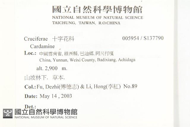 登錄號:S137790藏品圖，第2張