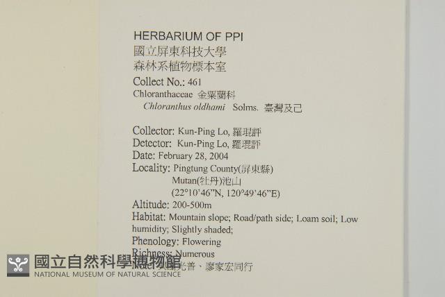 臺灣及己藏品圖，第2張