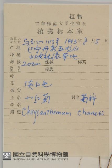 小紅菊藏品圖，第2張