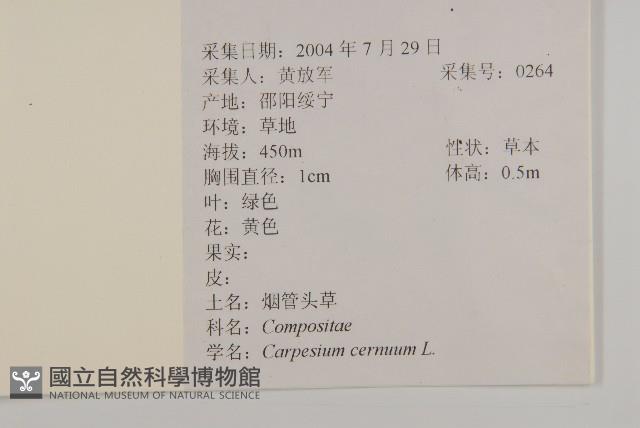 杓兒菜藏品圖，第2張