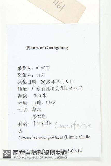 薺藏品圖，第2張