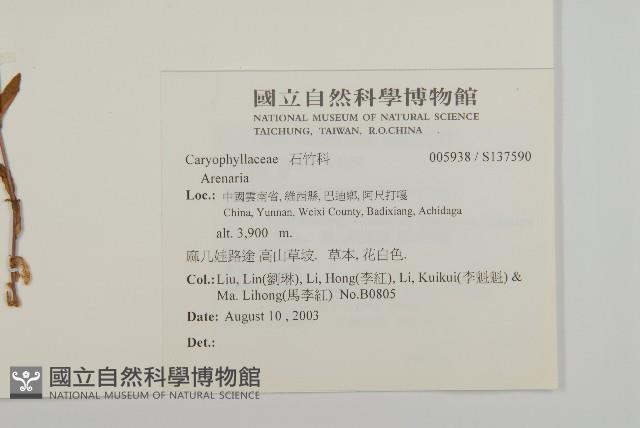 登錄號:S137590藏品圖，第2張