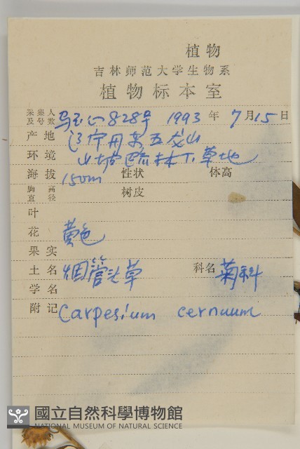 杓兒菜藏品圖，第2張