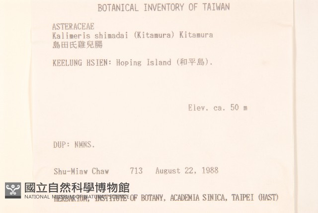 島田氏雞兒腸藏品圖，第2張