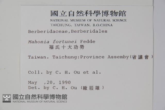 細葉十大功勞藏品圖，第2張