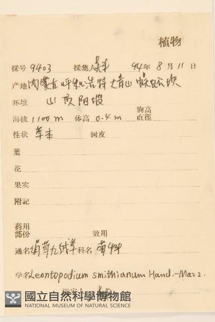 絹茸火絨草藏品圖，第2張