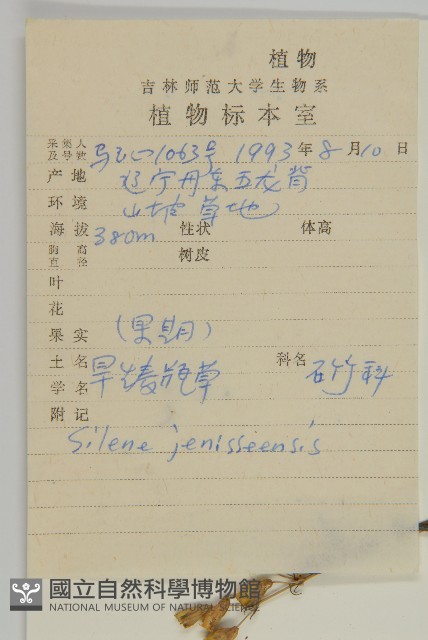 山螞蚱藏品圖，第2張