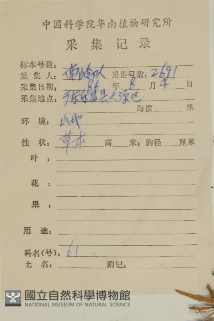 臭杏、土荊芥藏品圖，第2張