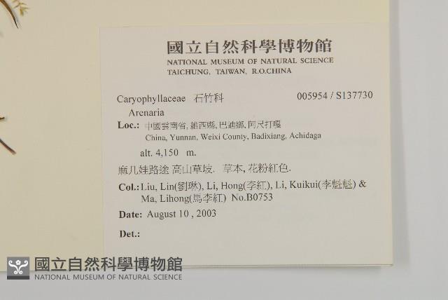 登錄號:S137730藏品圖，第2張