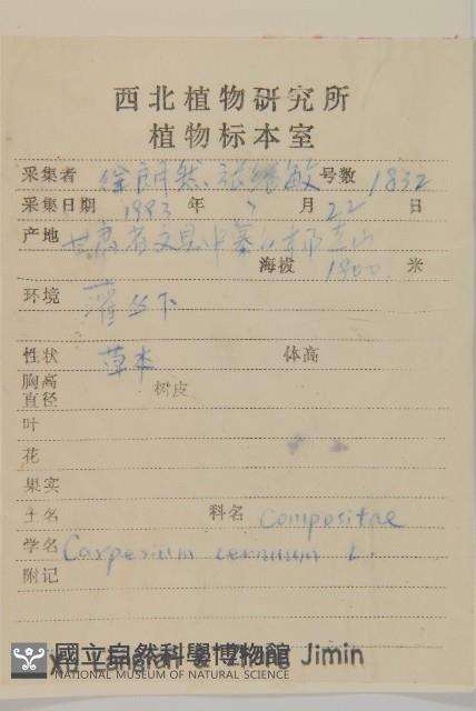 杓兒菜藏品圖，第2張