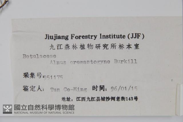 榿木藏品圖，第2張