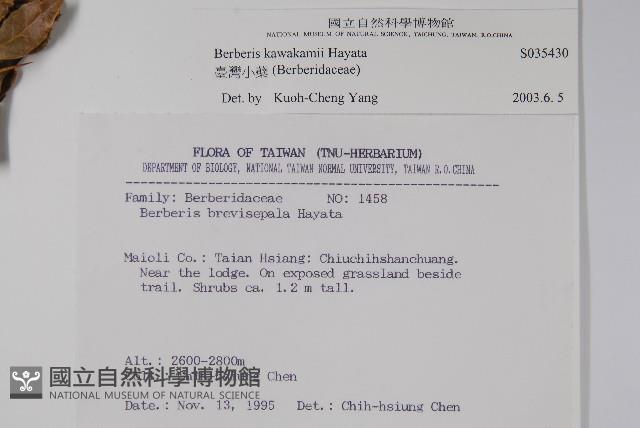 臺灣小蘗藏品圖，第2張