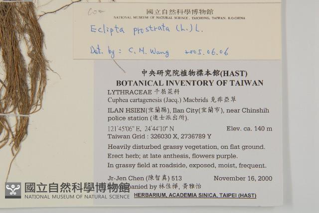 鱧腸藏品圖，第2張