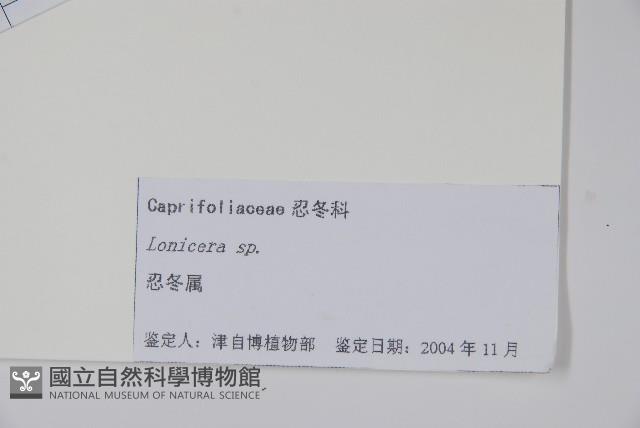 登錄號:S105130藏品圖，第2張