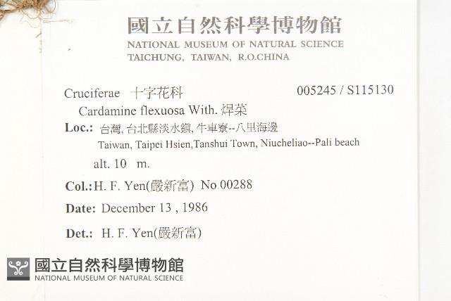 焊菜藏品圖，第2張