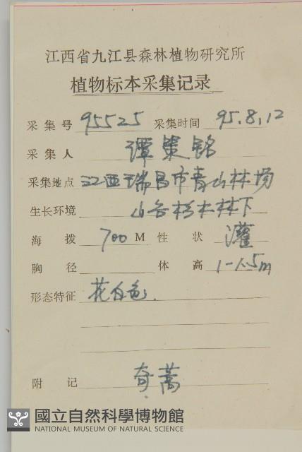 珍珠蒿、奇蒿藏品圖，第2張