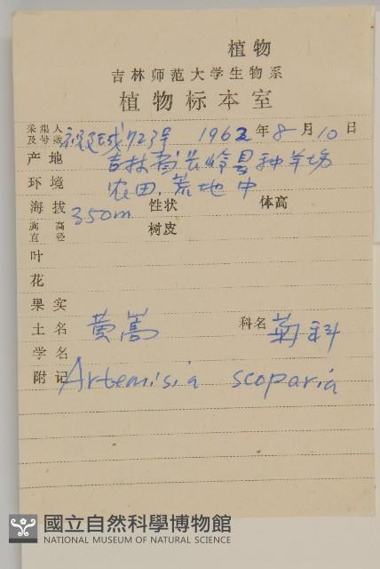 黃蒿藏品圖，第2張