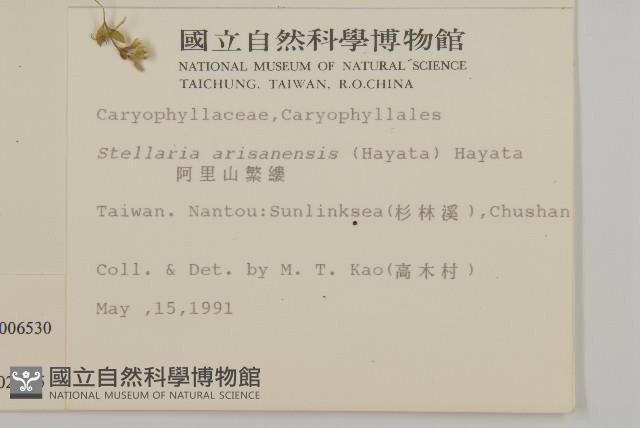 繁縷藏品圖，第2張