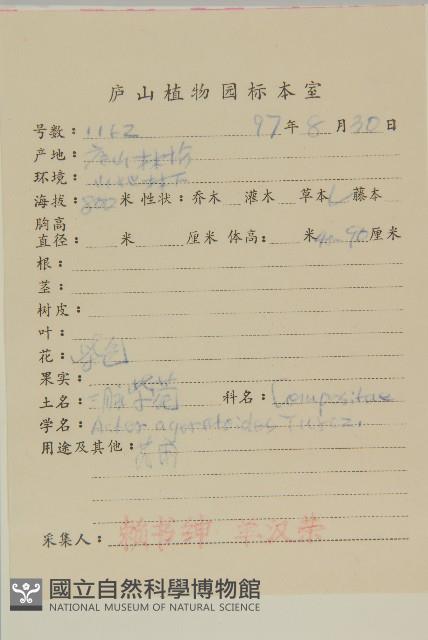 山白蘭藏品圖，第2張