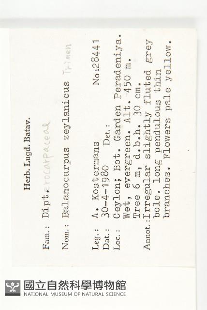 登錄號:S047060藏品圖，第2張