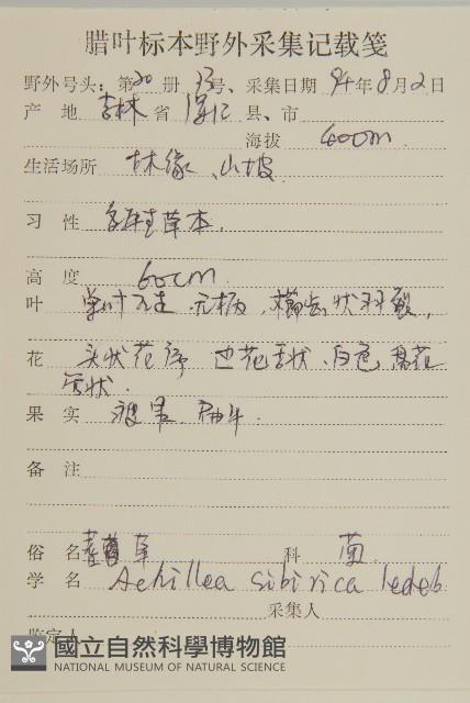 西伯利亞蓍藏品圖，第2張