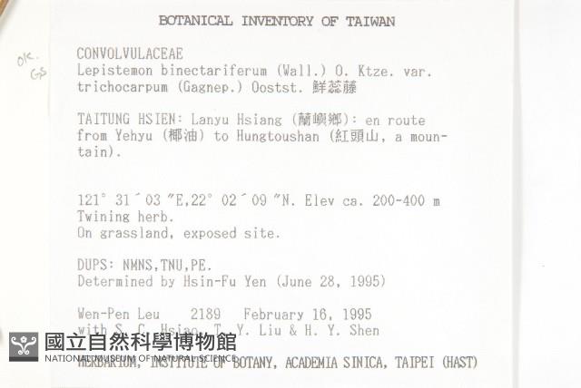 鱗蕊藤藏品圖，第2張