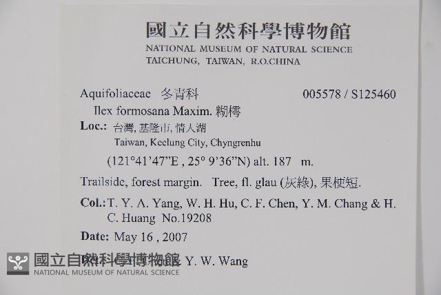 糊樗藏品圖，第2張