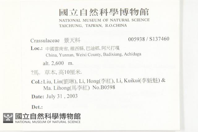 登錄號:S137460藏品圖，第2張