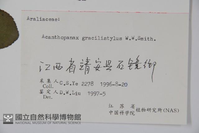 五加藏品圖，第2張