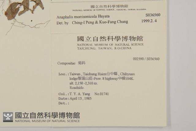 玉山抱莖籟簫藏品圖，第2張