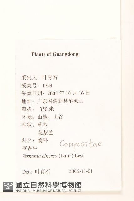 一枝香藏品圖，第2張