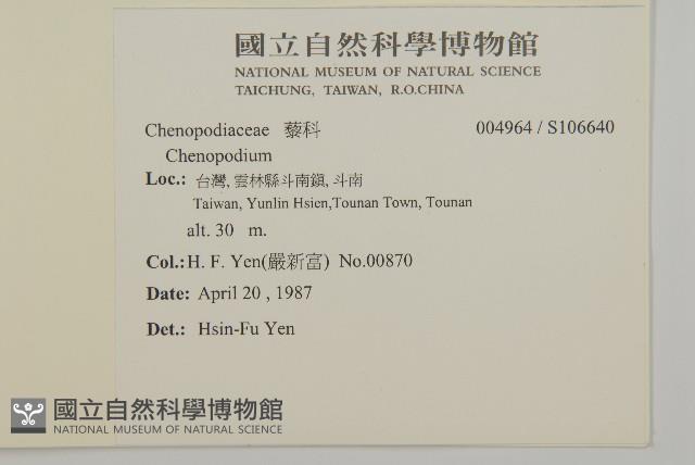 登錄號:S106640藏品圖，第2張