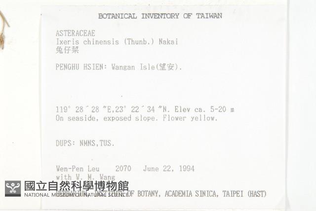 兔仔菜藏品圖，第2張